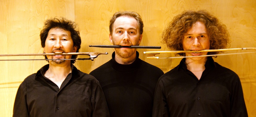 VIOLONS BARBARES Image