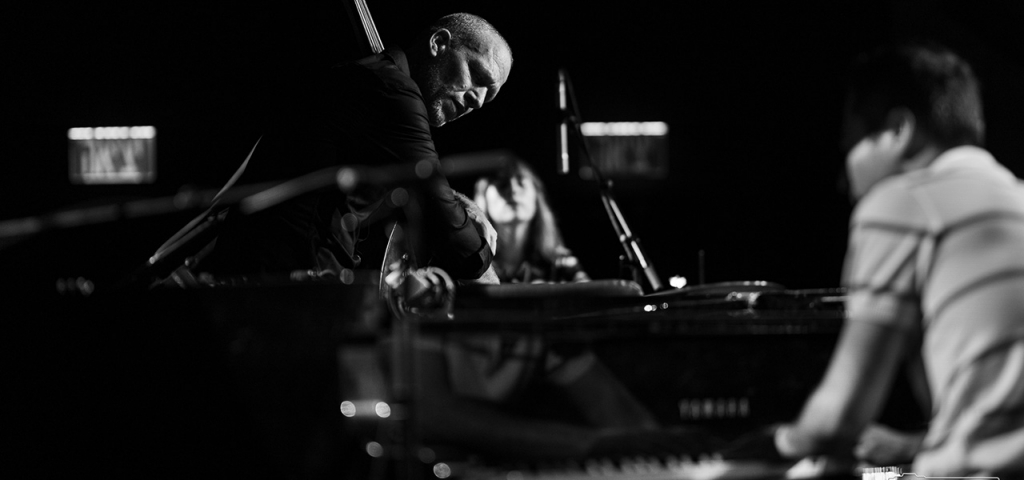 Avishai Cohen Trio Image